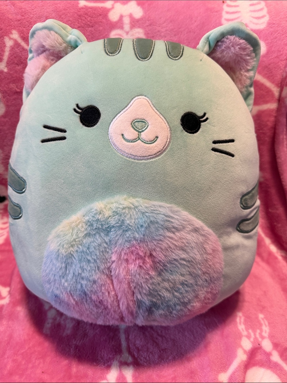 Squishmallow teal cat